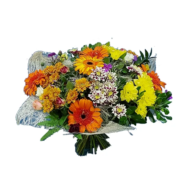 שדה הפרחים — פרחי אתי