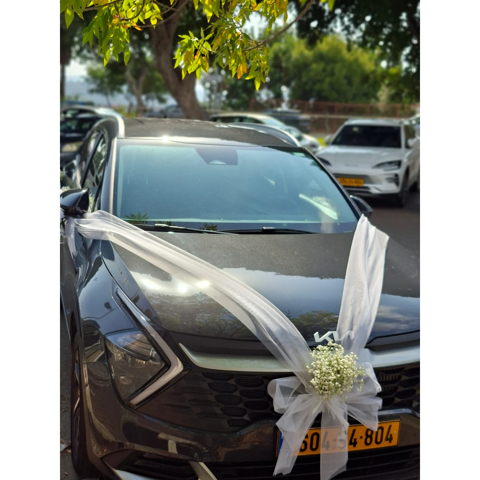 Wedding Car Decoration 3